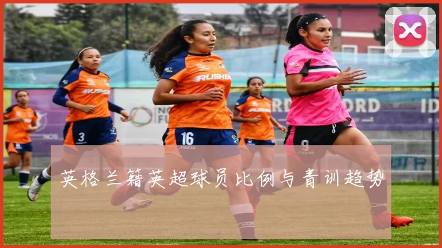 英格兰籍英超球员比例与青训趋势