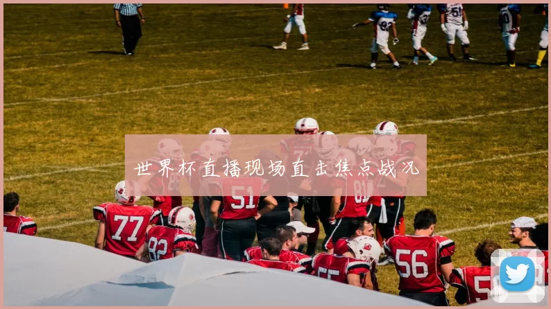 世界杯直播现场直击焦点战况