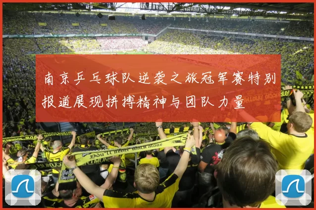 南京乒乓球队逆袭之旅冠军赛特别报道展现拼搏精神与团队力量