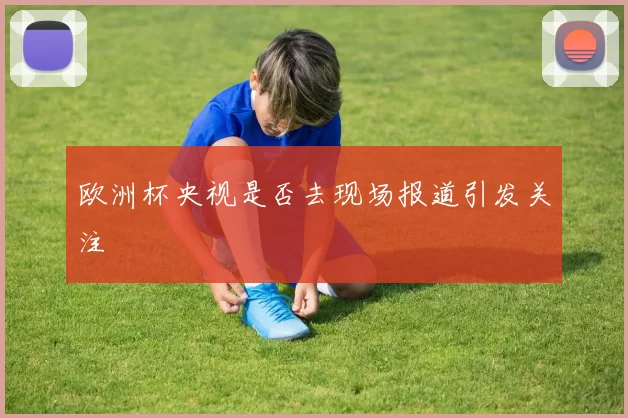 欧洲杯央视是否去现场报道引发关注