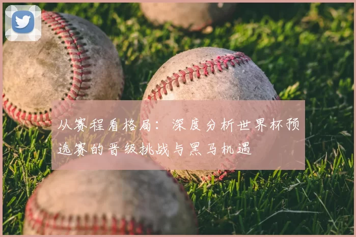 从赛程看格局:深度分析世界杯预选赛的晋级挑战与黑马机遇