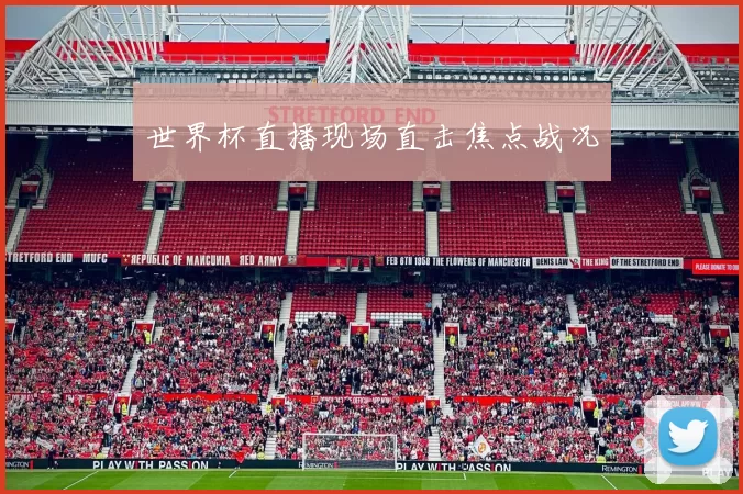 世界杯直播现场直击焦点战况