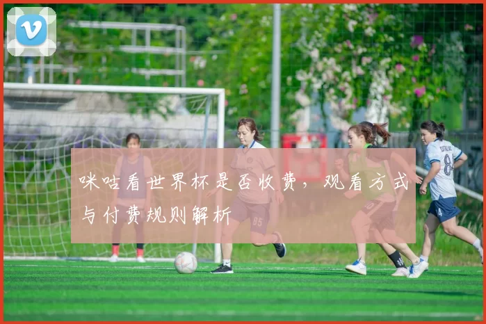 咪咕看世界杯是否收费,观看方式与付费规则解析