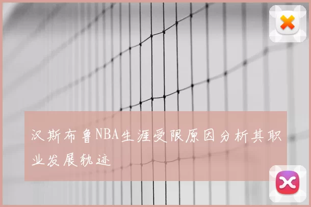 汉斯布鲁NBA生涯受限原因分析其职业发展轨迹