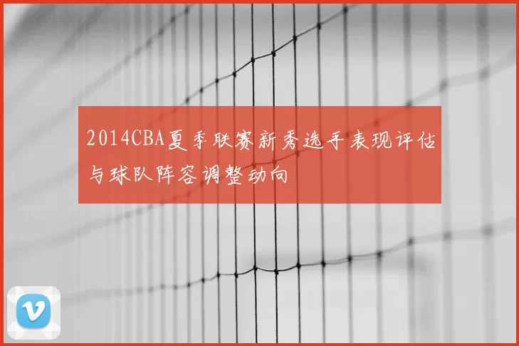 2014CBA夏季联赛新秀选手表现评估与球队阵容调整动向