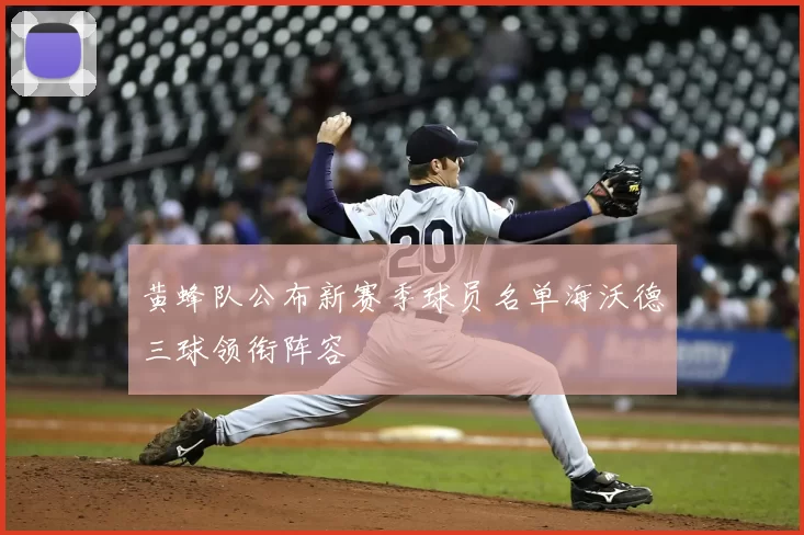 黄蜂队公布新赛季球员名单海沃德三球领衔阵容